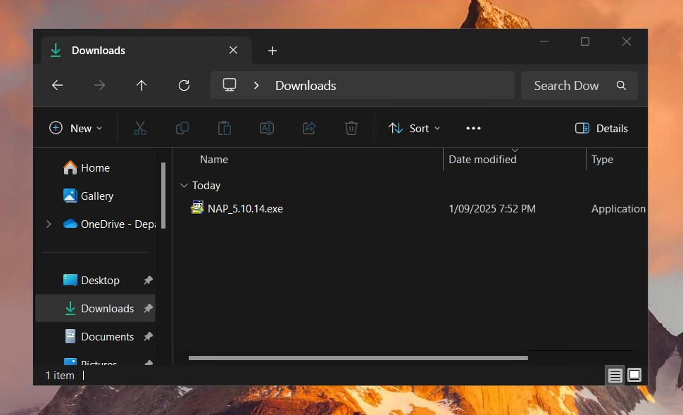 Downloads Folder